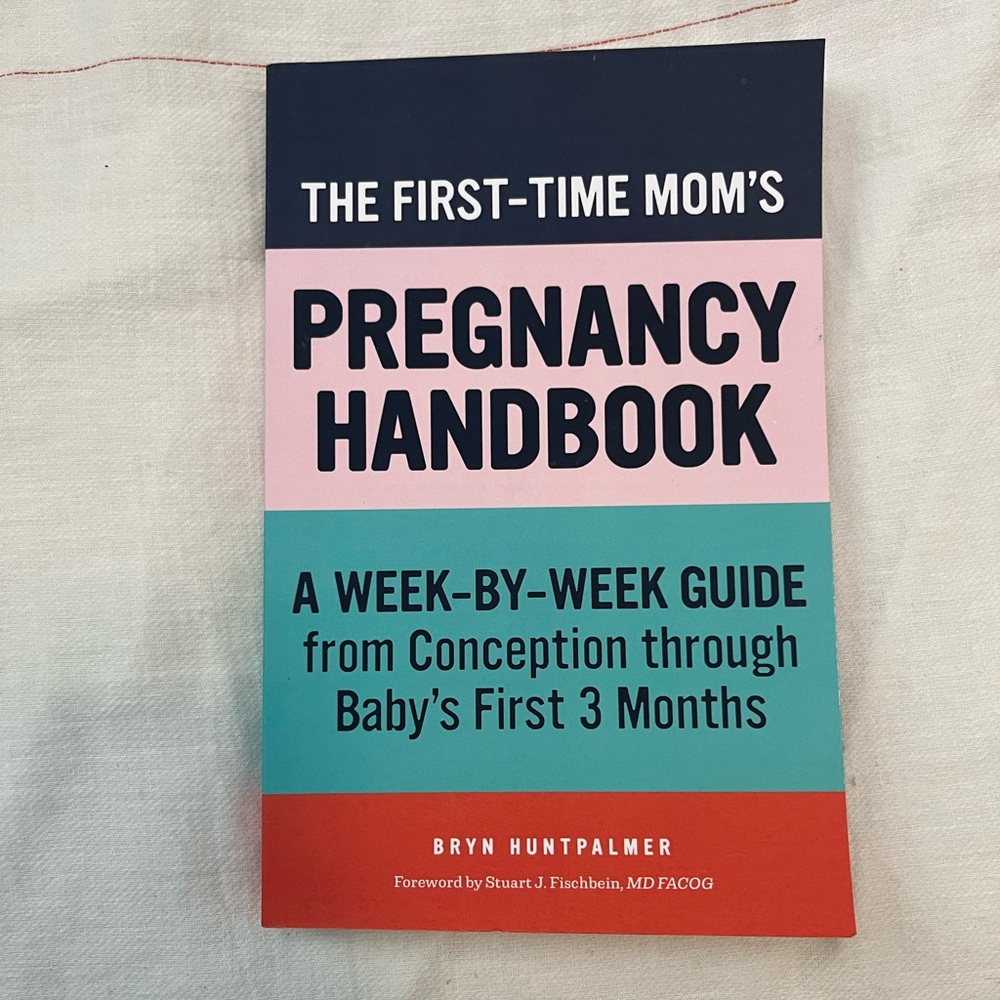 The First Time Mom’s Pregnancy Handbook Bryn Huntpalmer